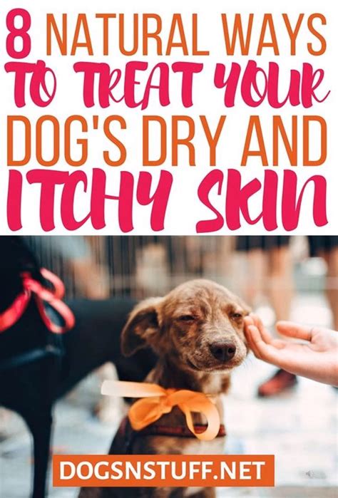 8 Natural Ways to Treat Dry and Itchy Skin in Dogs – Dogs N' Stuff | Dog dry skin remedy, Dog ...