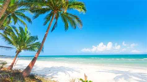 Wallpaper Summer, beach, palm trees, sea 3840x2160 UHD 4K Picture, Image