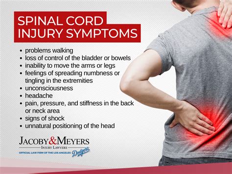 Basics of Spinal Cord Injury