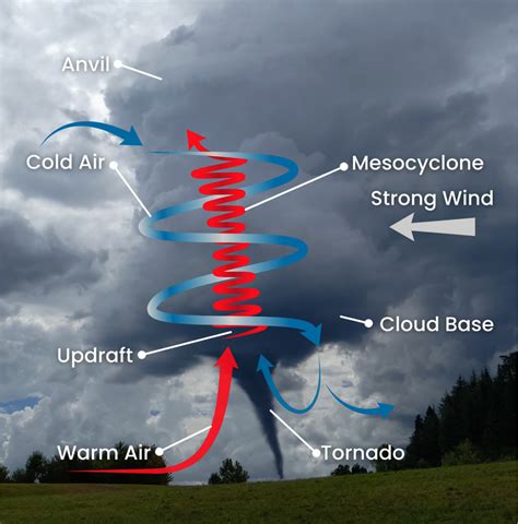 How to Prepare for Tornado Season - LifeSecure