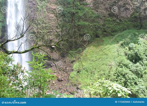 The Atmosphere in the Coban Rondo Waterfall Which Has Many Monkeys Stock Photo - Image of exotic ...