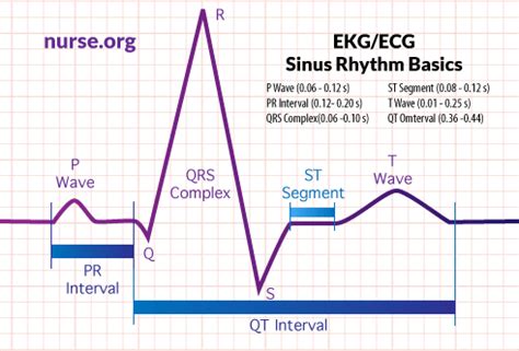 Ecg Interpretation