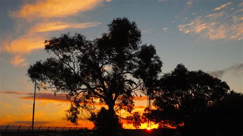 Flying to Kangaroo Island – TRAVELLING THE WORLD SOLO