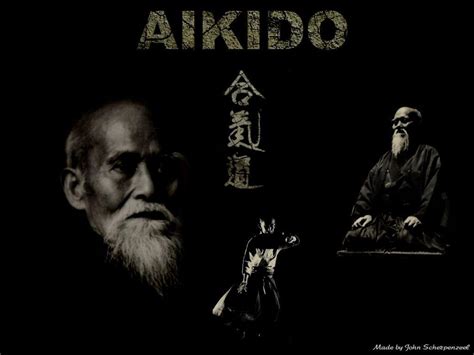 Aikido Wallpapers - Top Free Aikido Backgrounds - WallpaperAccess