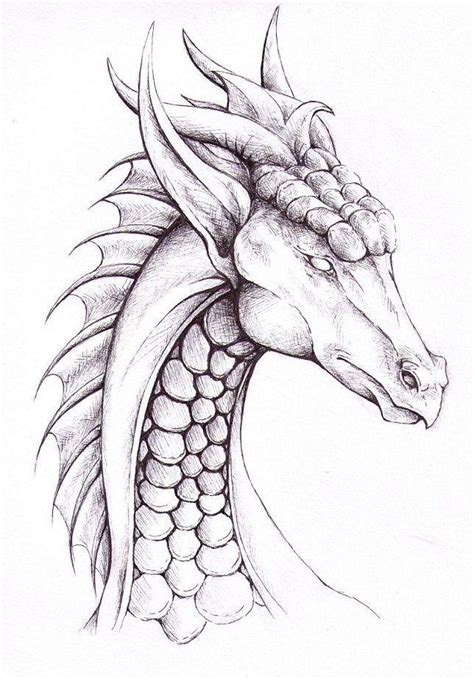 How to Draw a Dragon? 40+ Easy Dragon Sketches - HARUNMUDAK