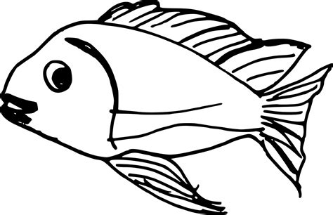 10 Fish Drawing (PNG Transparent) | OnlyGFX.com