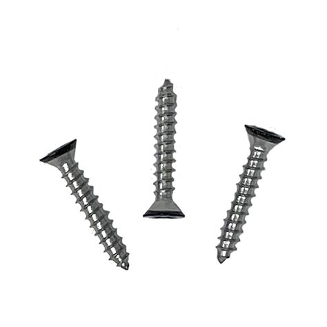 Black Stainless Steel Wood Screws - Denco Door Stuff