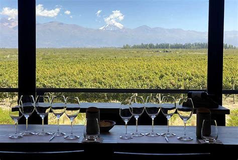 Mendoza Wine Tours - Ampora Wine Tours Mendoza