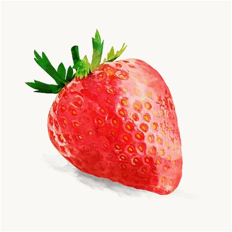 Aesthetic strawberry sticker, watercolor fruit | Premium Vector ...