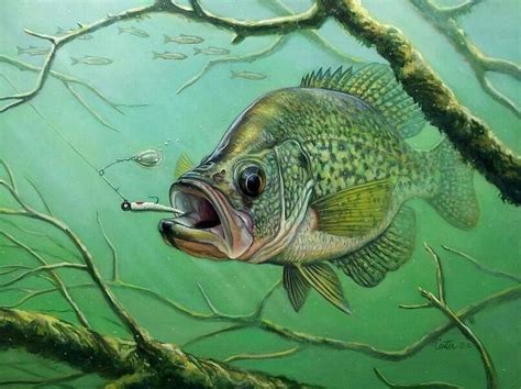 crappie pictures art | Great Crappie Print... | Crappie Fishing | Texas Fishing Forum | Fish ...