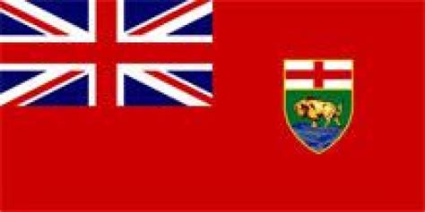 Time for a new Manitoba flag, say grassroots NDPers | CBC News