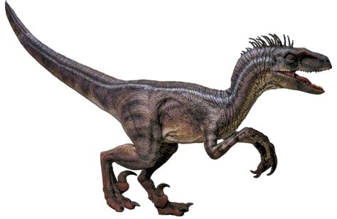 Jurassic Park 3: Velociraptor - Transparent! by SpeedCam on DeviantArt