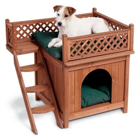 Dog Beds That Sit Off The Floor Canada | WebNuggetz.com