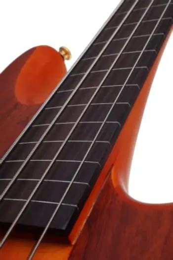 Best Fretless Bass Guitar Reviews | KeytarHQ: Music Gear Reviews