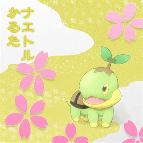 Turtwig - Pokémon - Zerochan Anime Image Board