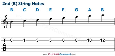 Guitar Strings Notes Chart, Tab & Info: Master The Fretboard