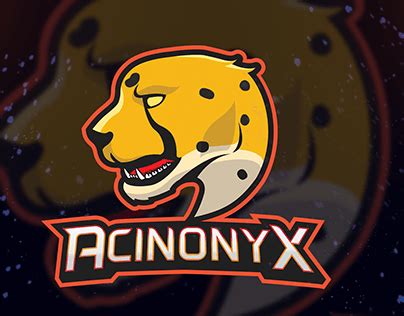 Acinonyx Projects | Photos, videos, logos, illustrations and branding on Behance