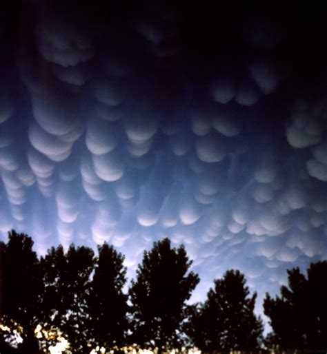 Mammatus clouds at sunset | Mammatus cloud phenomena after h… | Flickr