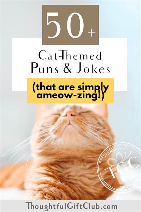 50+ Cat Puns & Jokes for Instagram Captions That Are Ameowzing