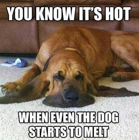 Funny Hot Outside Memes