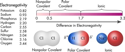 Cellular Neurophysiology