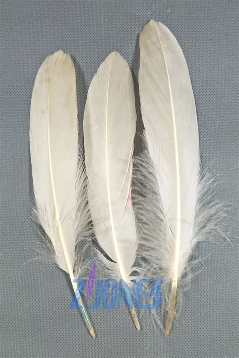 Natural Goose Feathers,100pcs/lot Champange Goose Satinettes Loose feathers,goose craft feathers ...