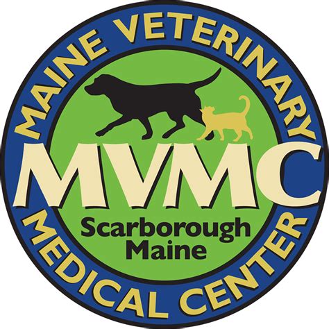 Minimally Invasive Techniques Transforming Veterinary Surgical Care ...