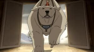 Polar bear Dogs - Avatar: The Last Airbender / The Legend of Korra Guide - IGN