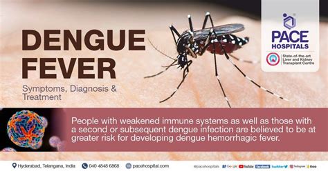 Dengue Fever - Symptoms, Causes, Diagnosis and Treatment