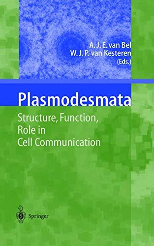 Plasmodesmata: Structure, Function, Role in Cell Communication ...