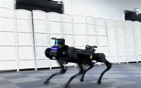 Chinese university releases enhanced robot dog