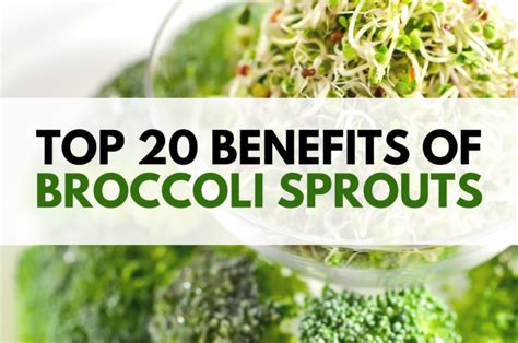 Top 20 Benefits of Broccoli Sprouts - Myersdetox.com