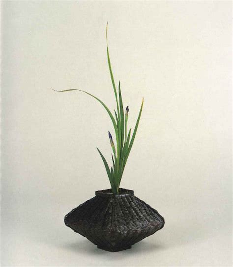 Ikebana Mini Lessons #8