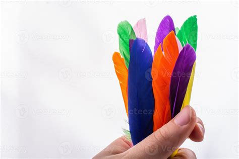 Studio shot photo colored bird feathers as texture background 14377209 ...