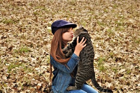 Little Girl Kissing Cat Free Stock Photo - Public Domain Pictures