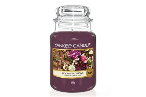 10 Best Autumn Yankee Candle Scents To Get Inspired