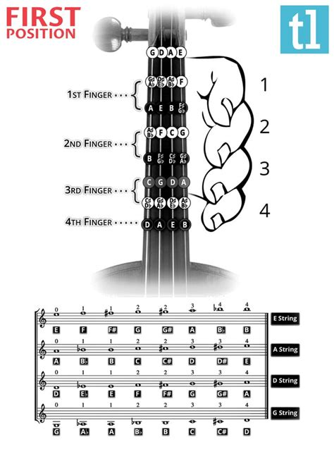 What Are The Violin String Notes? | Ted's List