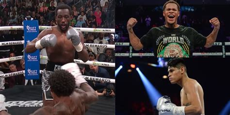 10 Best Boxers Of 2023, Ranked