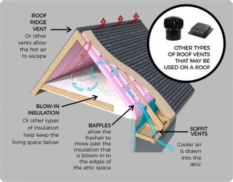 Proper Attic Ventilation | Roof Cat Roofing