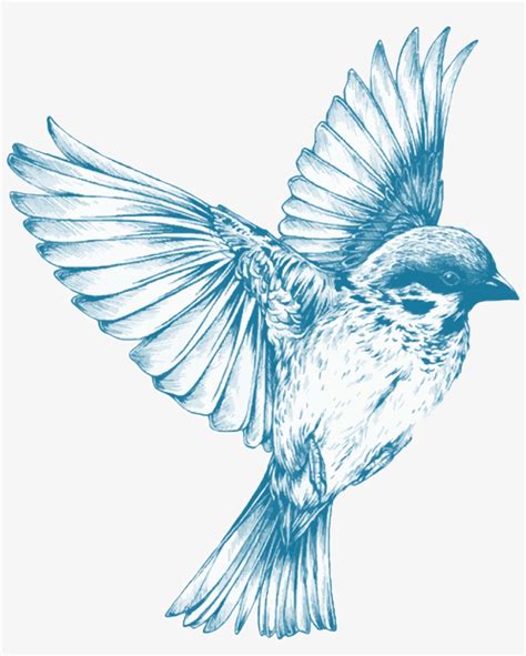 Flying Bluebird Drawing