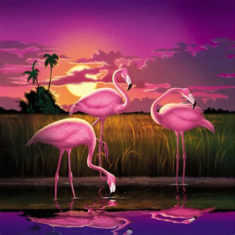 Pink Flamingos At Sunset Tropical Landscape - Square Format Digital Art ...