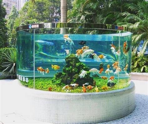 Outdoor goldfish aquarium - geoJuli