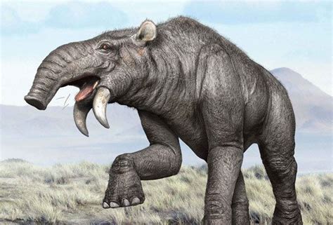 Deinotherium | Prehistoric wildlife, Prehistoric animals, Extinct animals