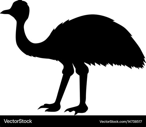 Ostrich emu Royalty Free Vector Image - VectorStock