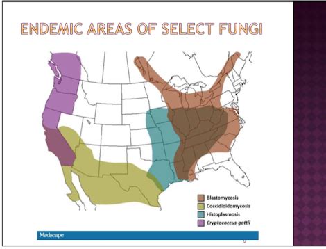 Dimorphic Fungi [ done ] Flashcards | Quizlet