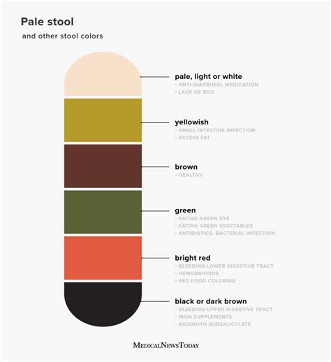 Cores De Fezes O Que As Cores Das Fezes Significam Quando