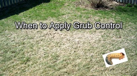 When to Apply Grub Control / Killer | Zones | Preventative or Regular