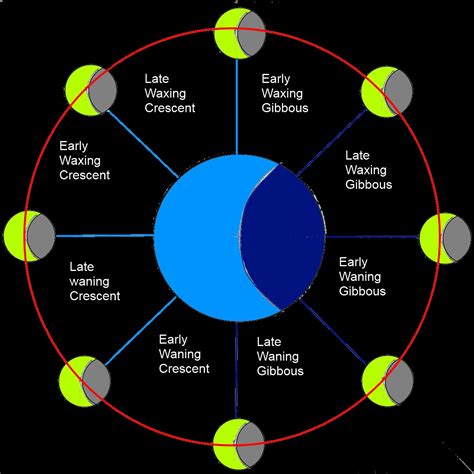 Diagram Of Phases Of The Moon