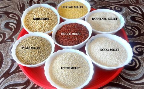 Types of Millets | Man Matters