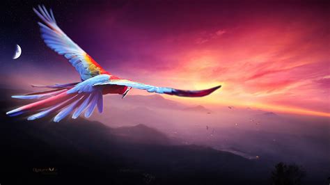 Macaw Flight Digital Art 4k, HD Birds, 4k Wallpapers, Images, Backgrounds, Photos and Pictures